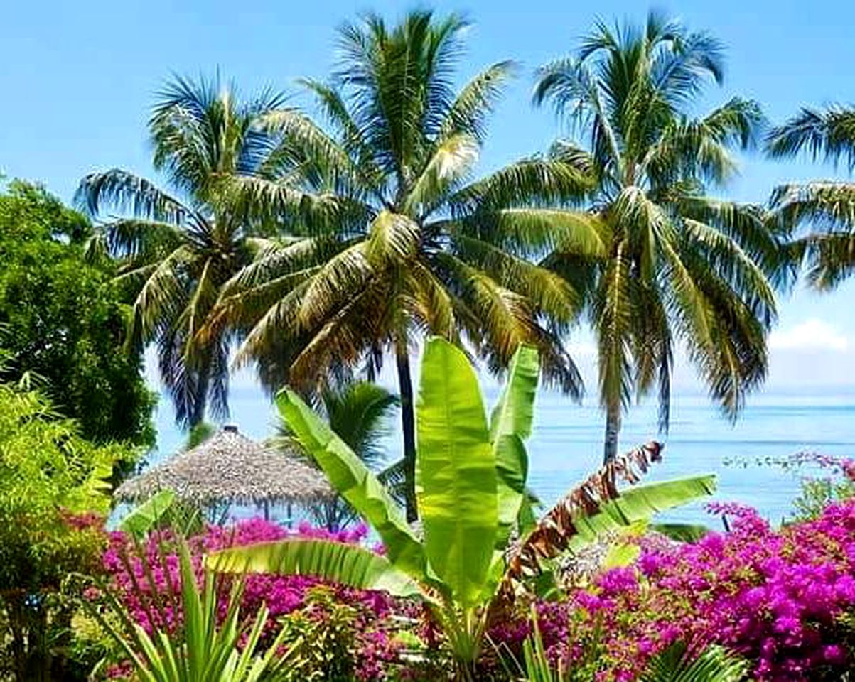 Romantic Hut Getaway on the Beach of Sainte Marie, Madagascar