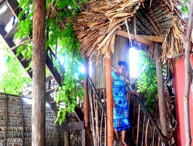 Tree Houses (Ambodifotatra, Toamasina Province, Madagascar)