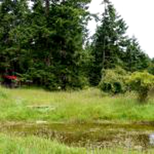 Cabins (Mayne Island, British Columbia, Canada)