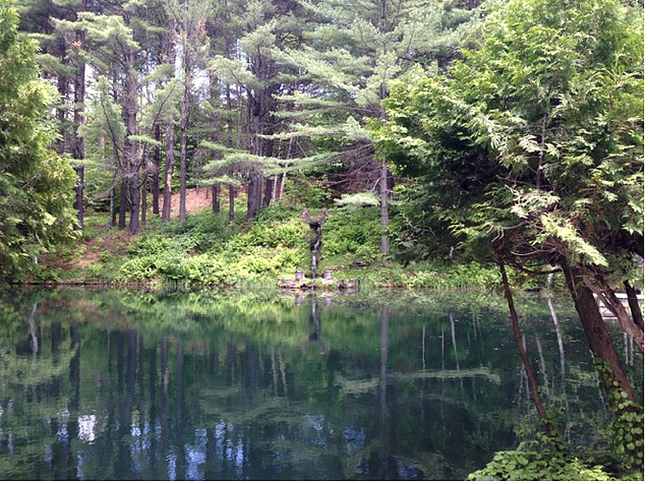 Elegant Villa with Pool and Hot Tub on 400 Acres in Reading, Vermont