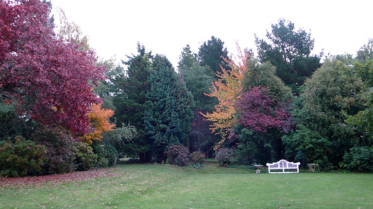 Cabins (Windwhistle, South Island, New Zealand)