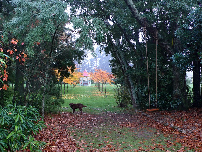 Cabins (Windwhistle, South Island, New Zealand)