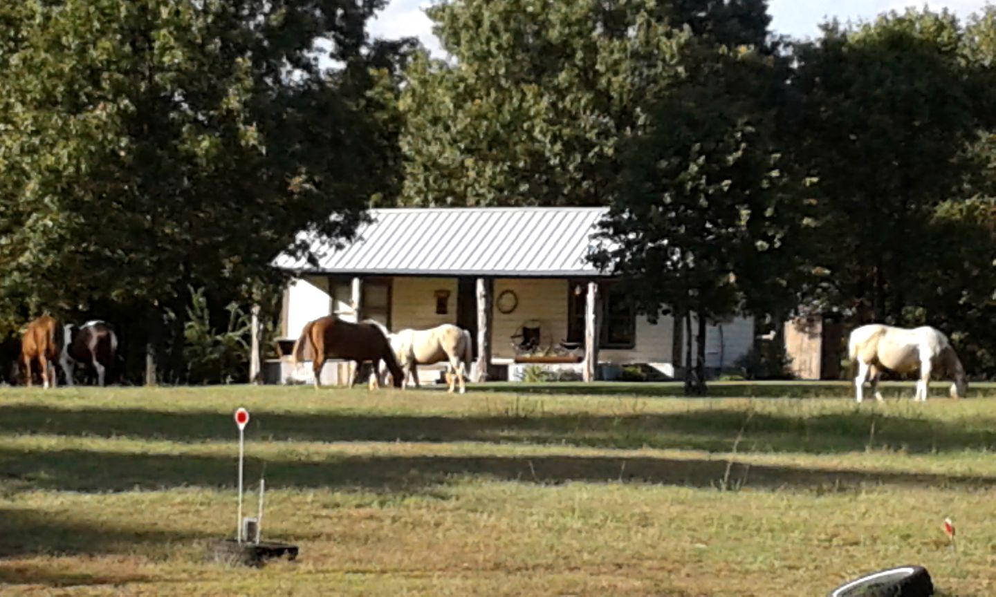 Recreation-Filled Ranch on Lake Fork for a Large Group Lakeside Retreat near Dallas, Texas