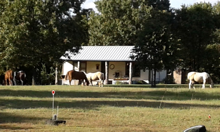 Nature Lodges (Alba, Texas, United States)