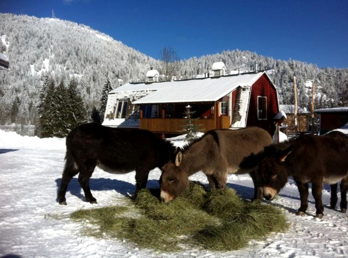 Nature Lodges (Rossland, British Columbia, Canada)