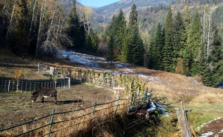 Nature Lodges (Rossland, British Columbia, Canada)