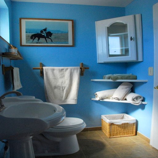 Cabins (Cruzville, New Mexico, United States)