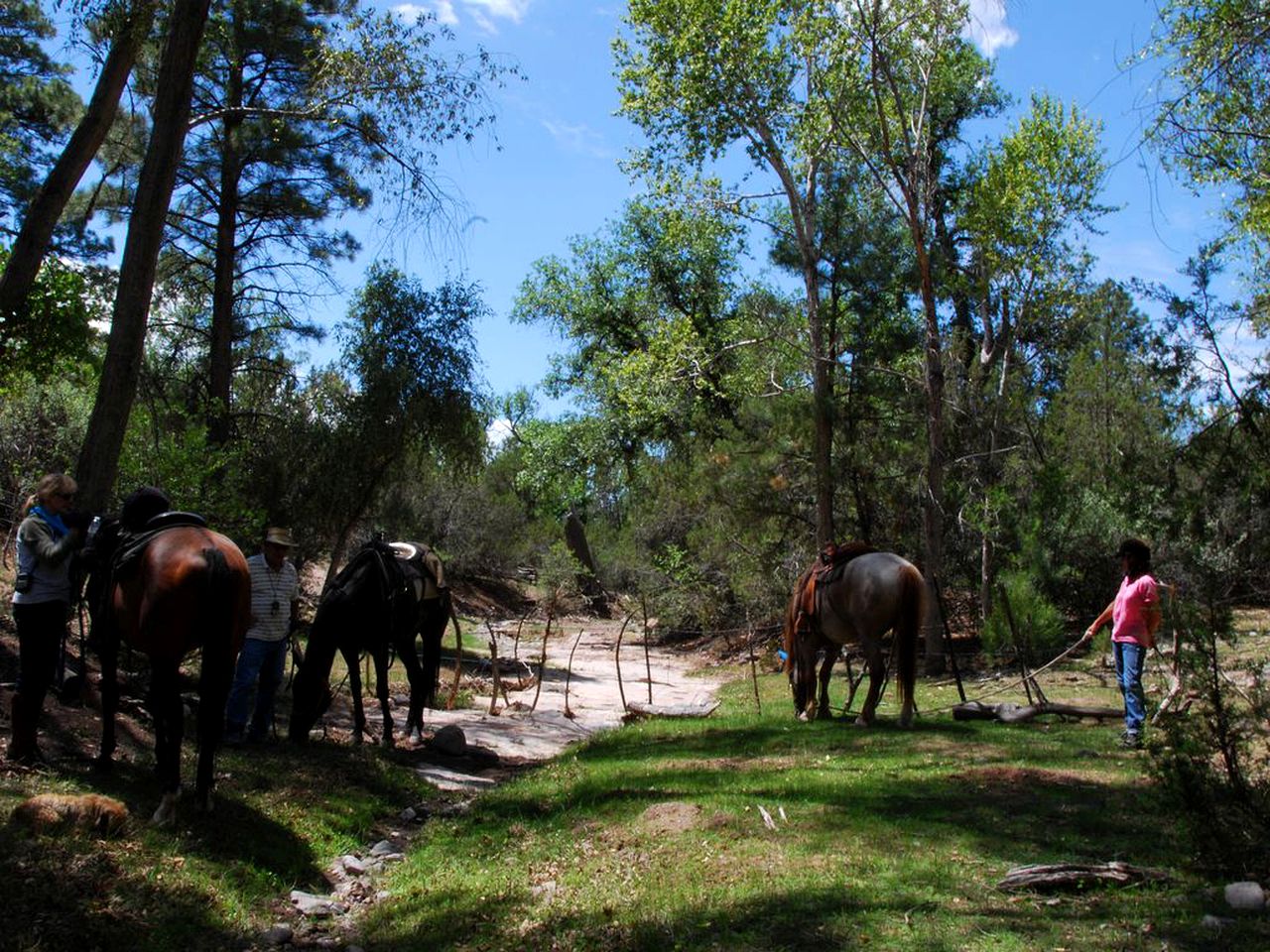 Cozy Cabin Rental near Amazing Gila National Forest in New Mexico