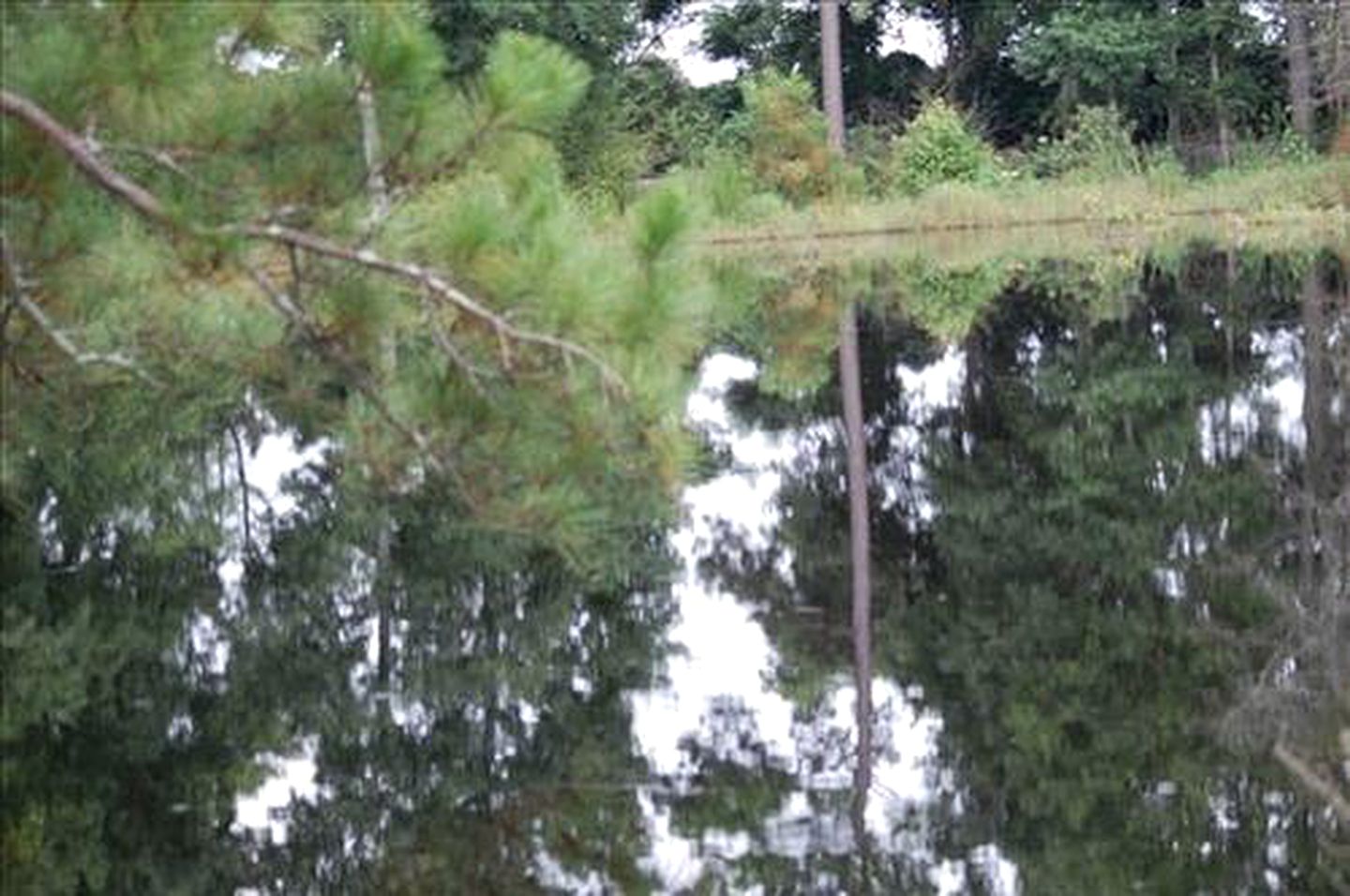 Traditional Cabin Rental for a Family Getaway in Statesboro, Georgia