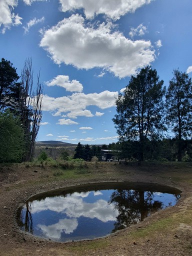 Tiny Houses (Australia, Bungendore, New South Wales)