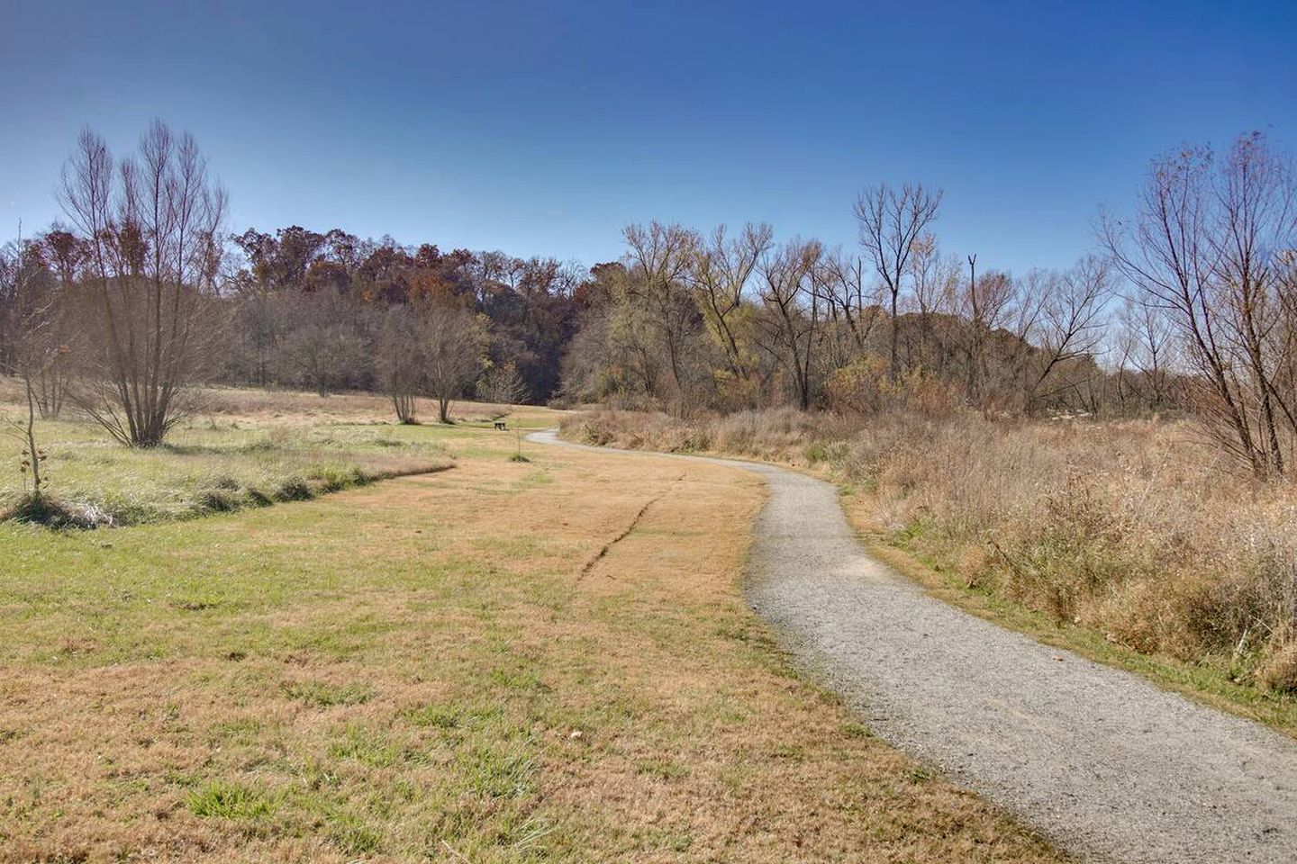 Cozy Studio Retreat with Scenic 5-Acre Views, Near City Lake & Cherokee Casino in Gentry, Arkansas