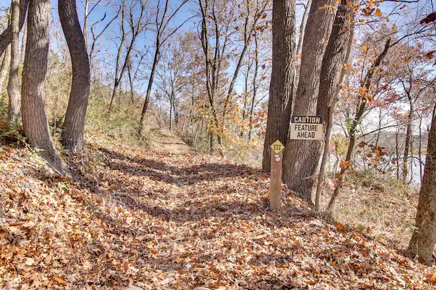 Cozy Studio Retreat with Scenic 5-Acre Views, Near City Lake & Cherokee Casino in Gentry, Arkansas