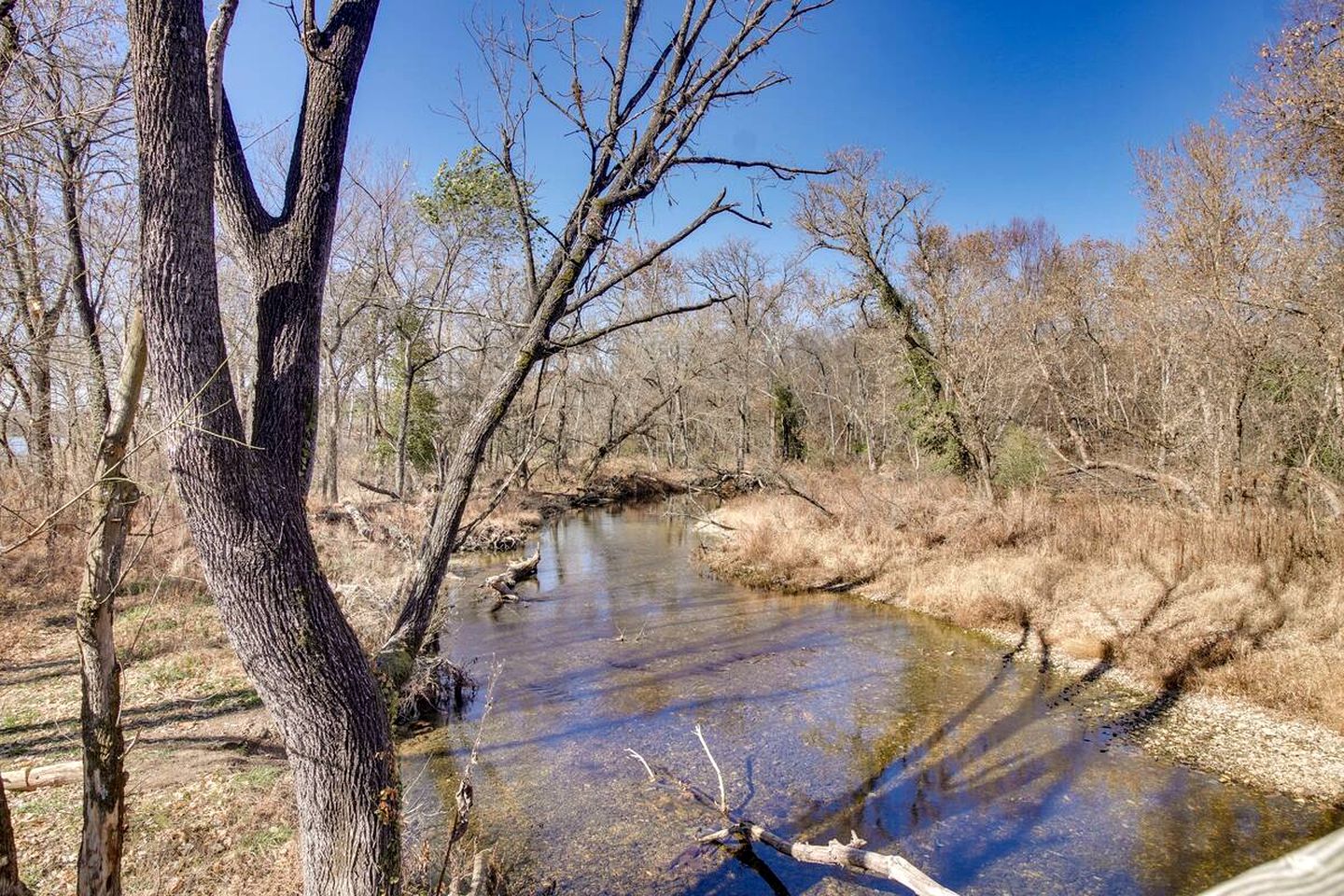 Cozy Studio Retreat with Scenic 5-Acre Views, Near City Lake & Cherokee Casino in Gentry, Arkansas