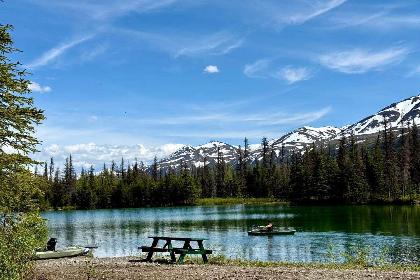 Secluded, Pet Friendly Cabin near Denali National Park with Mountain and Lake Views, Perfect for an Alaskan Escape