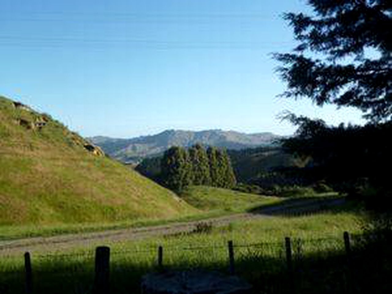 Tranquil Cabin Rental on 2,000-Acre Farm near Beatiful Waikare Beach in Kotemaori, New Zealand