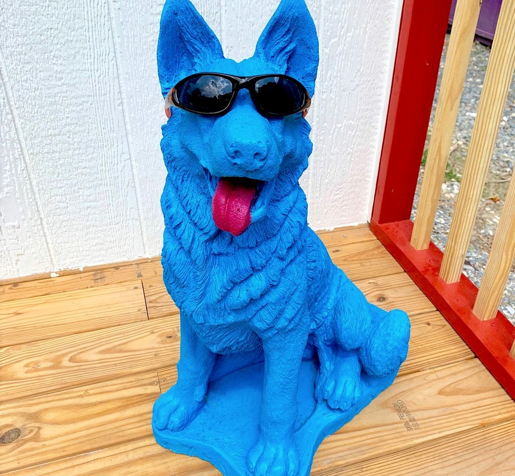 Amazing Puppy-Themed Dog-Friendly Tiny House near Bryson City, North Carolina