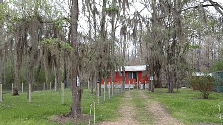 Cabins (Cleveland, Texas, United States)