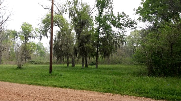 Cabins (Cleveland, Texas, United States)