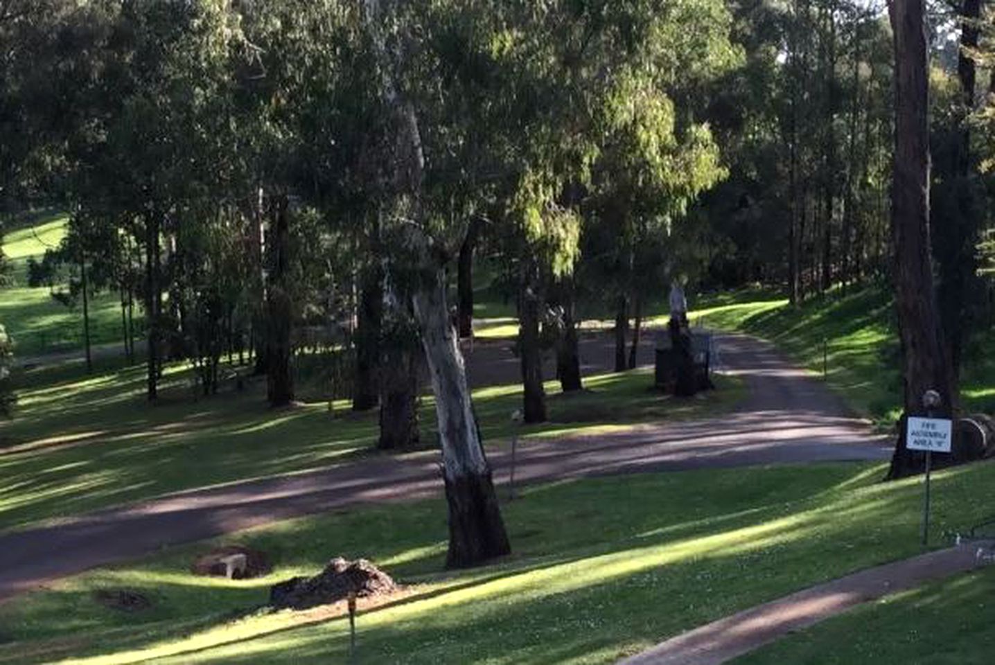 Family-Friendly Cabin Rental with Wood-Burning Stove in the Yarra Valley, Victoria