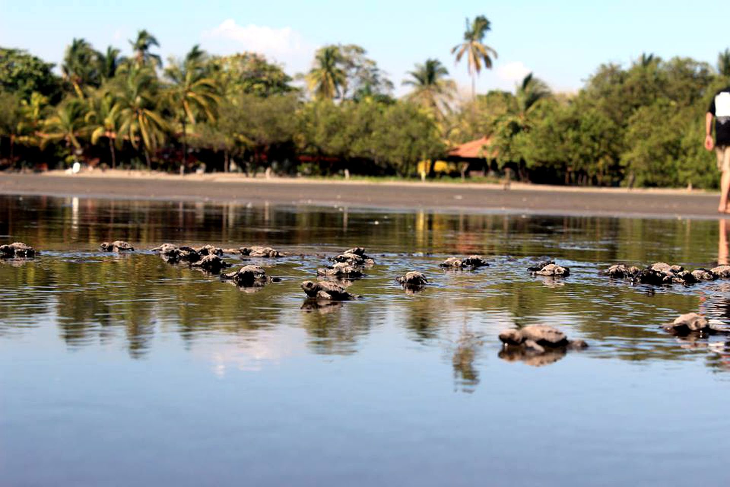 Family-Friendly Beach Cabin Rental with Private Balcony in Northwestern Nicaragua