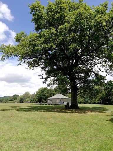 Handcrafted Countryside Yurt with Private Deck & Fire Pit in England, United Kingdom