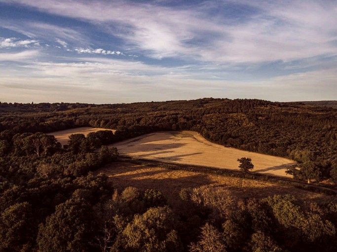 Yurts (United Kingdom, Haslemere, England)