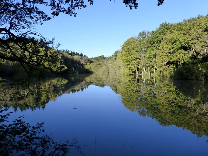 Yurts (United Kingdom, Haslemere, England)