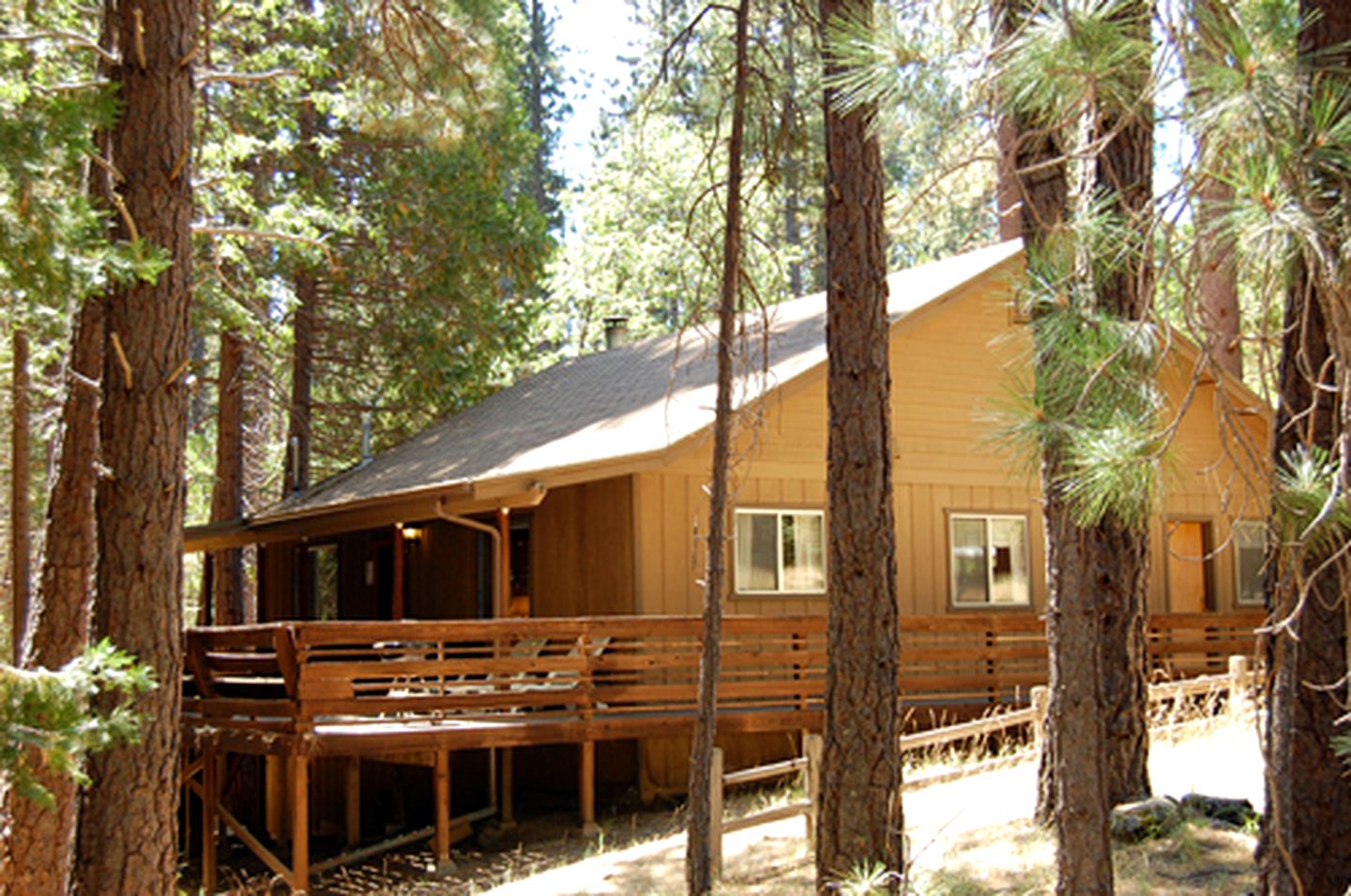 Pet-Friendly Cabin Escape in Yosemite National Park, California