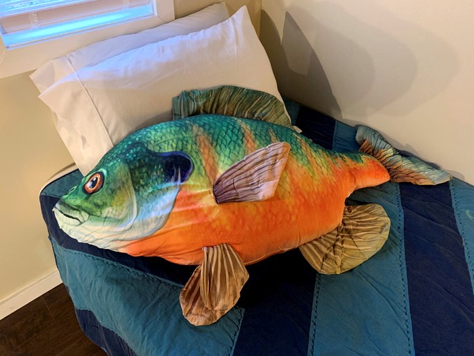 Tiny Houses (United States of America, Bryson City, North Carolina)