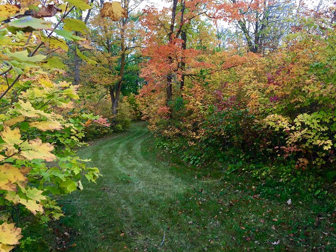 Nature Lodges (Callaway, Minnesota, United States)