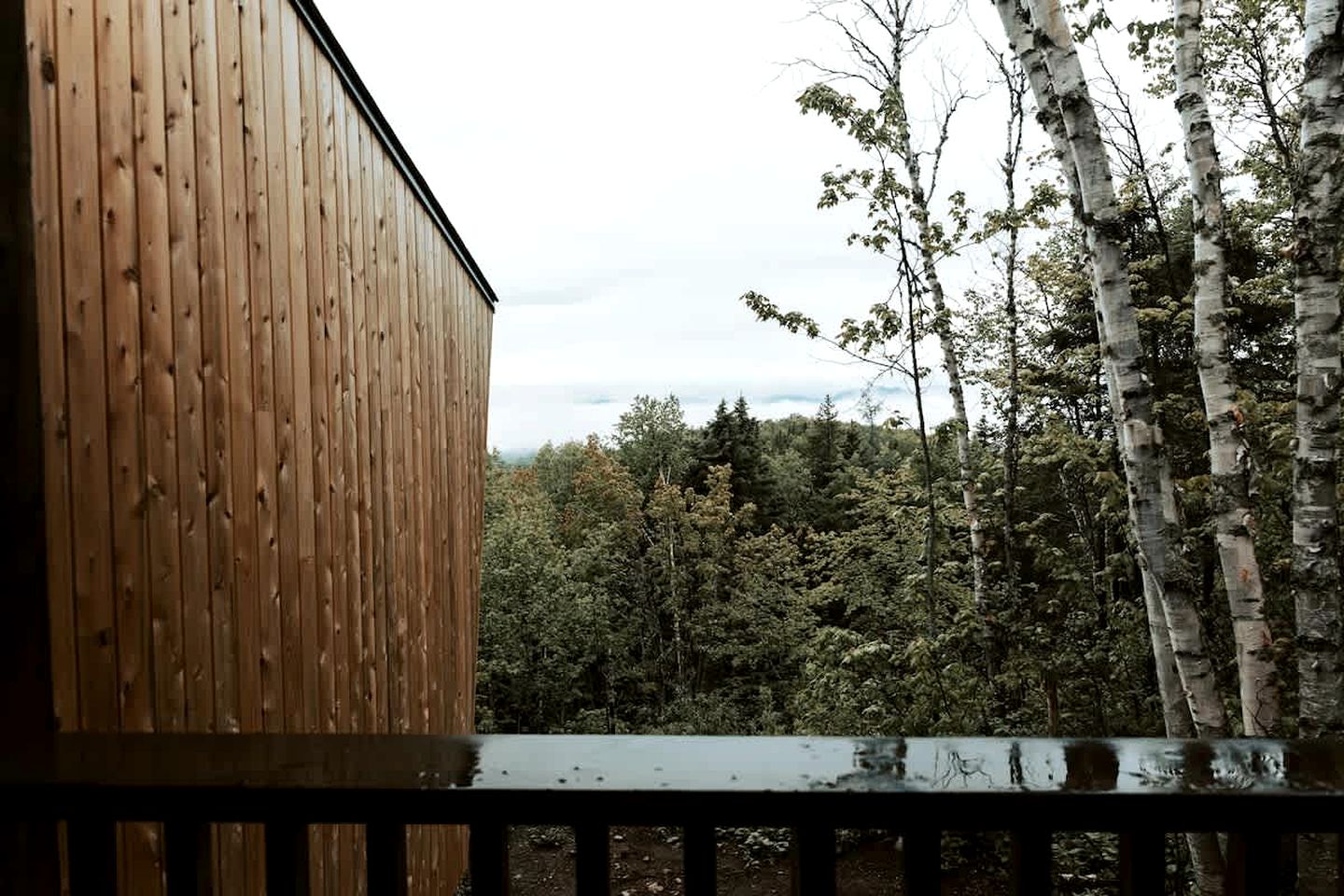 Off-Grid and Natural Cabin Nestled in the Forest with Views of Grands-Jardins National Park, Quebec, Canada