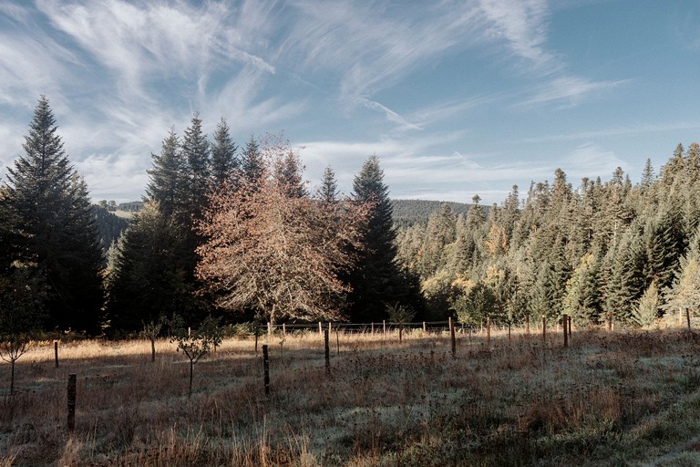 Vacation Rentals (France, Riotord, Auvergne-Rhône-Alpes)