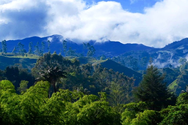 Nature Lodges (Salento, Quindío, Colombia)