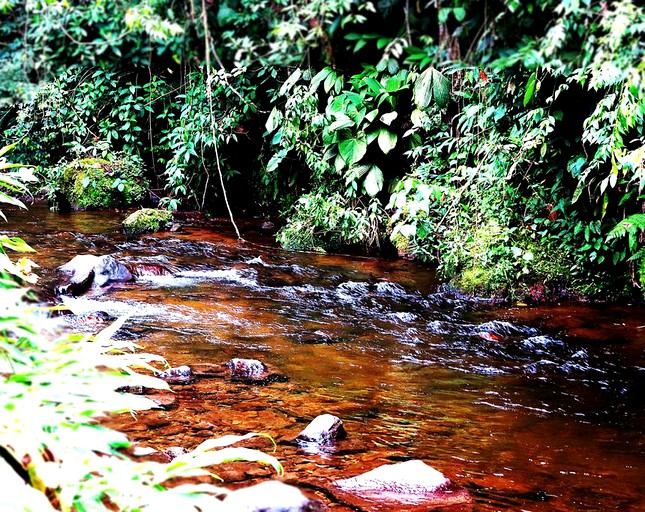 Nature Lodges (Salento, Quindío, Colombia)