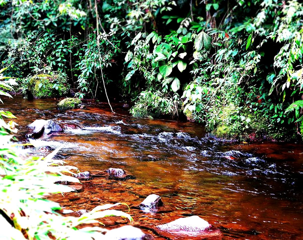 Secluded Riverside Vacation Rental with Gorgeous Surroundings near Salento, Colombia