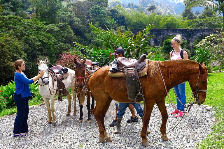 Nature Lodges (Salento, Quindío, Colombia)