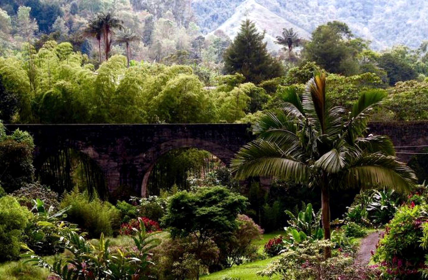 Off-the-Grid Vacation Rental with Breakfast Included in Quindio, Colombia