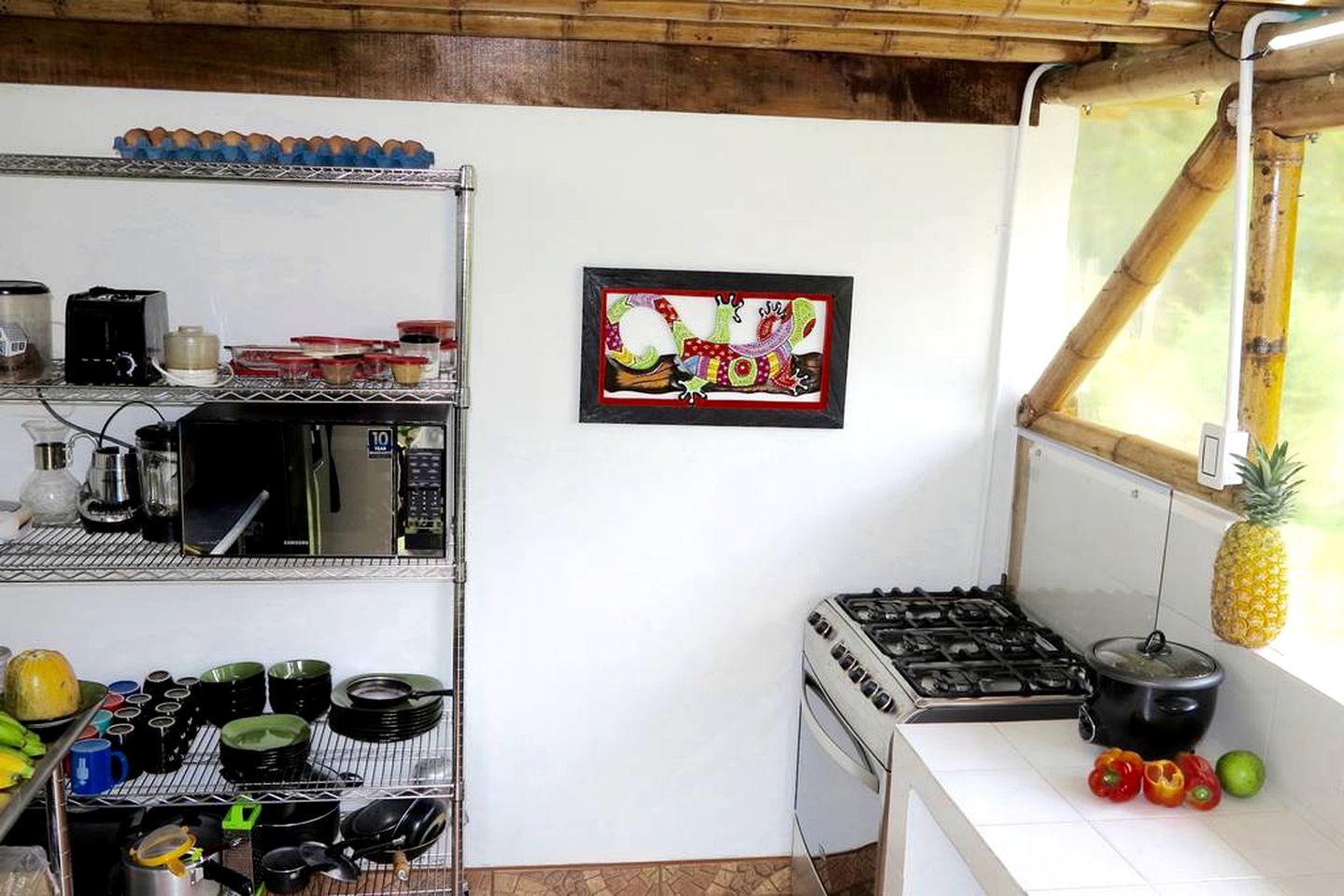 Charming Vacation Rental in the Coffee Region near Pereira, Colombia