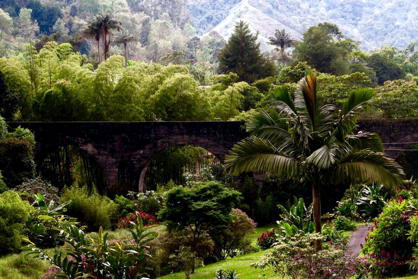 Charming Vacation Rental in the Coffee Region near Pereira, Colombia