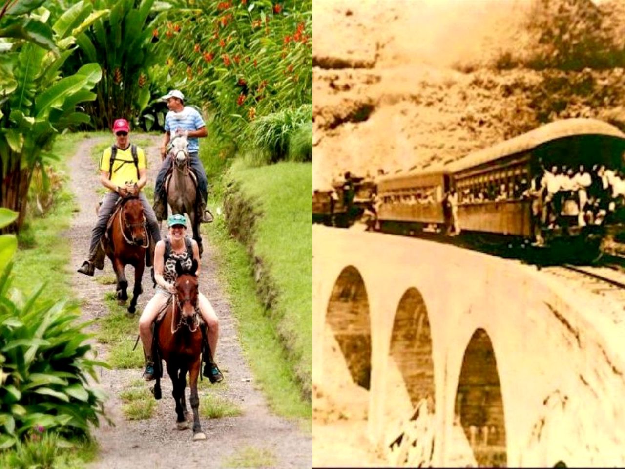 Charming Vacation Rental in the Coffee Region near Pereira, Colombia