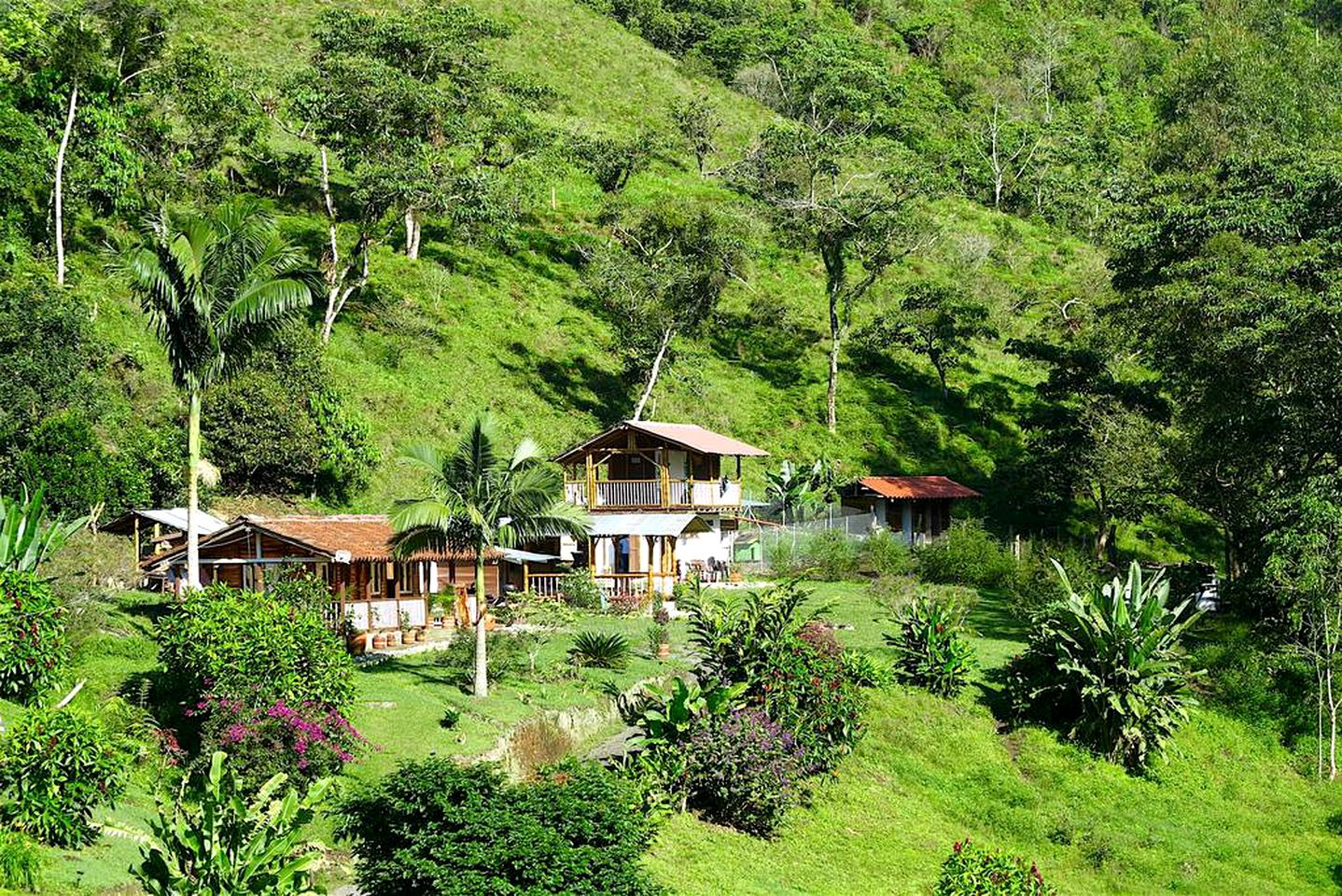 Charming Vacation Rental in the Coffee Region near Pereira, Colombia