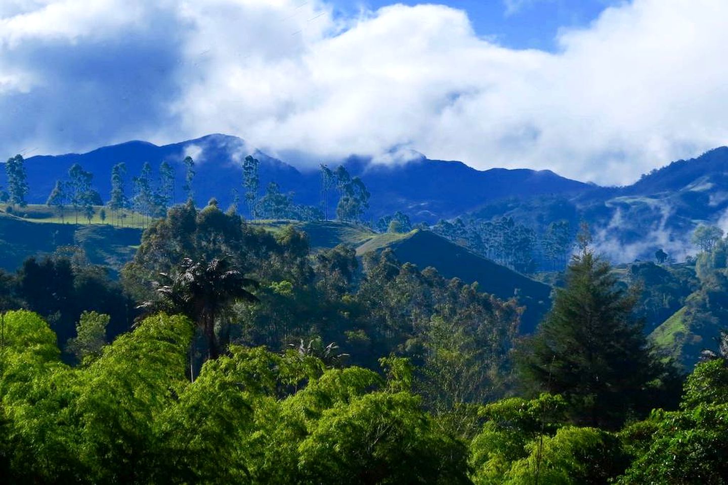 Family-Friendly Vacation Rental in Idyllic Setting near Santa Rita Waterfall, Colombia