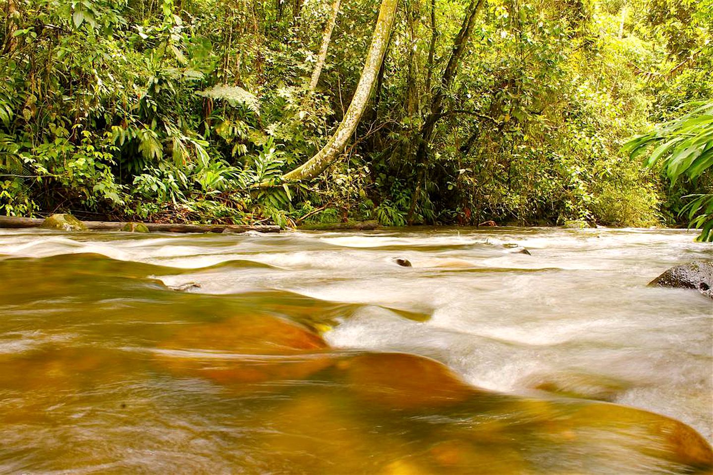 Family-Friendly Vacation Rental in Idyllic Setting near Santa Rita Waterfall, Colombia