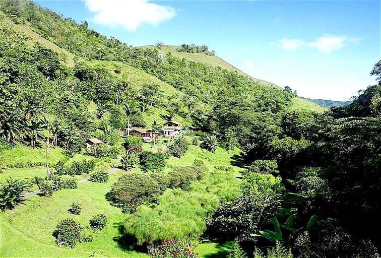 Nature Lodges (Salento, Quindío, Colombia)