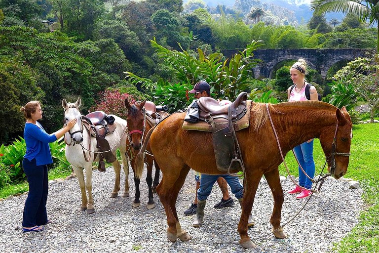Nature Lodges (Salento, Quindío, Colombia)