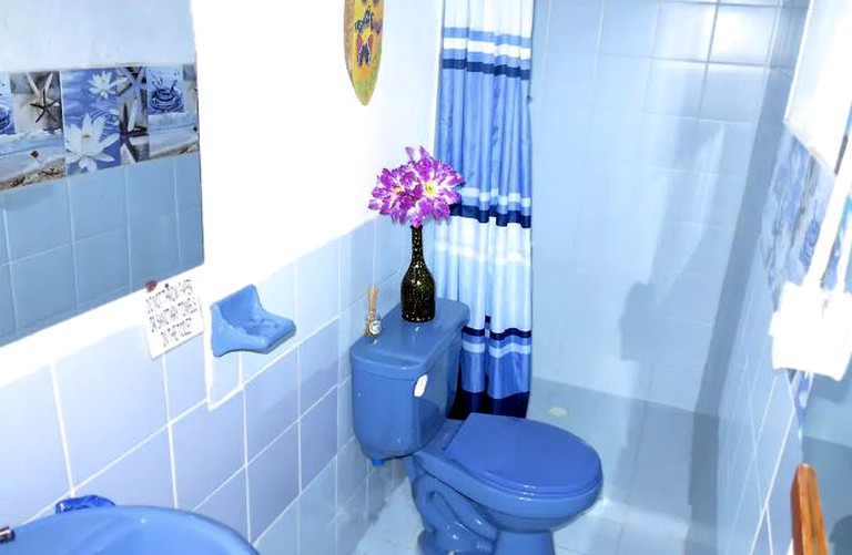 Nature Lodges (Salento, Quindío, Colombia)