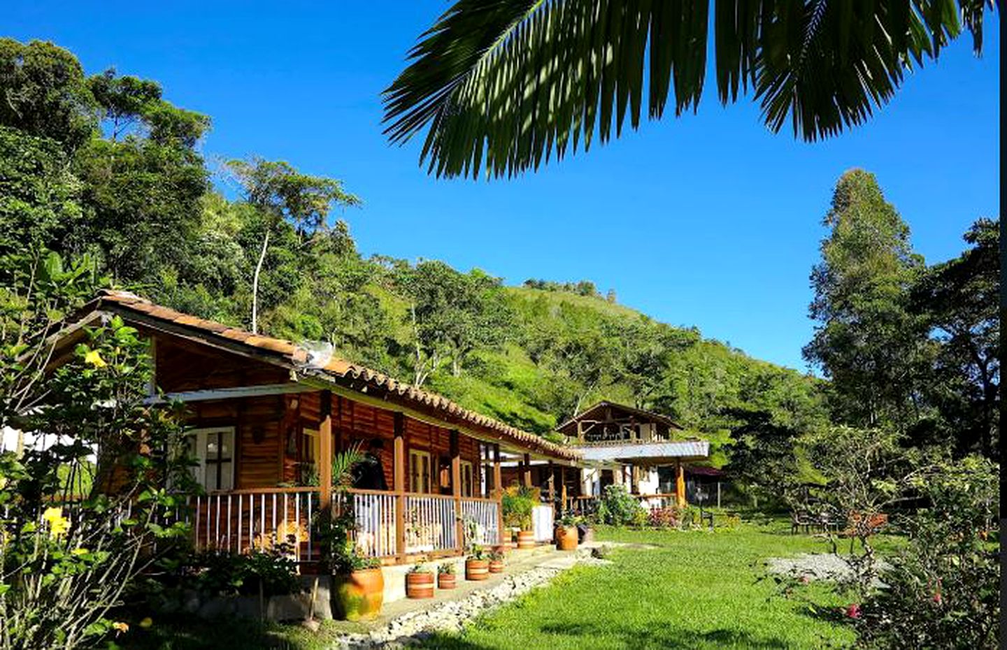 Nature Lodges (Salento, Quindío, Colombia)