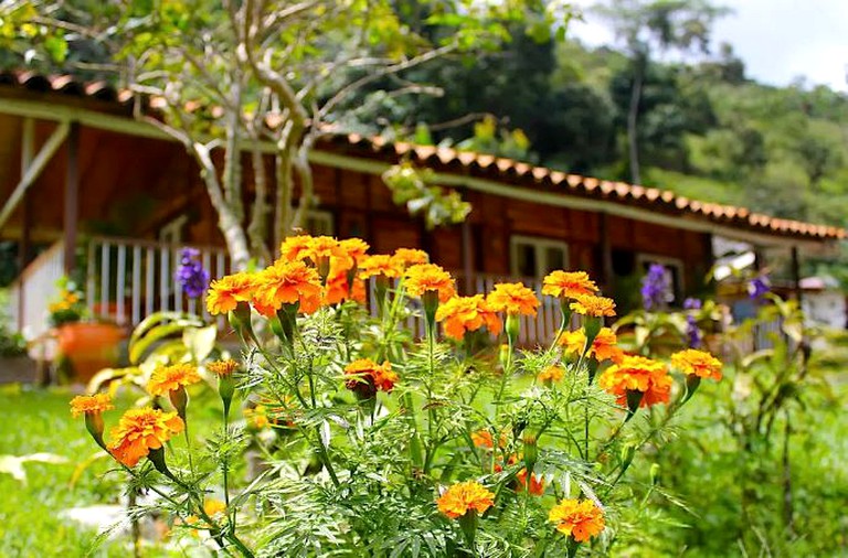 Nature Lodges (Salento, Quindío, Colombia)