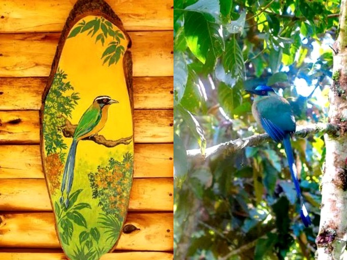 Nature Lodges (Salento, Quindío, Colombia)