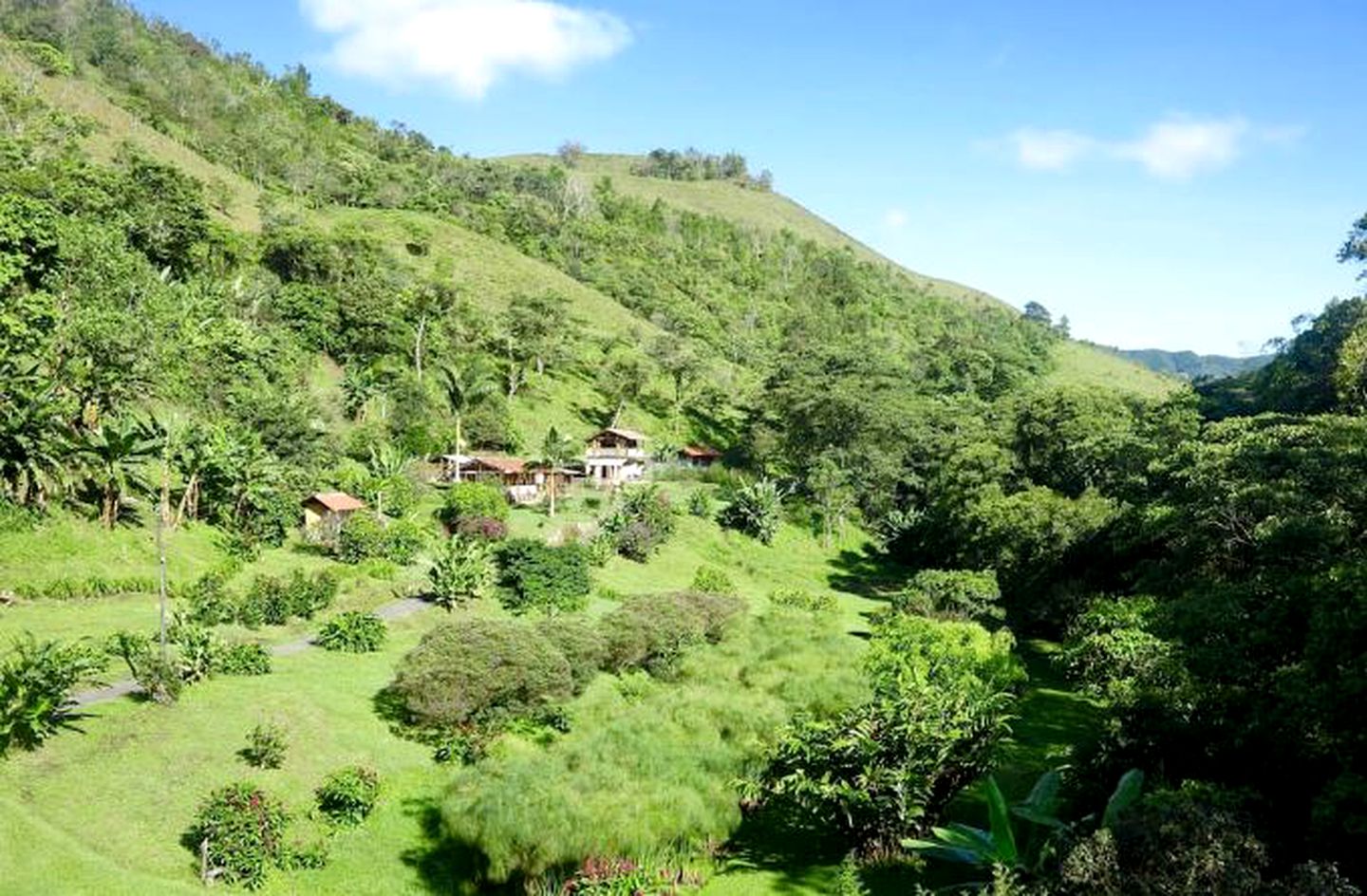 Cozy Vacation Rental with Yoga and Meditation near Armenia, Colombia